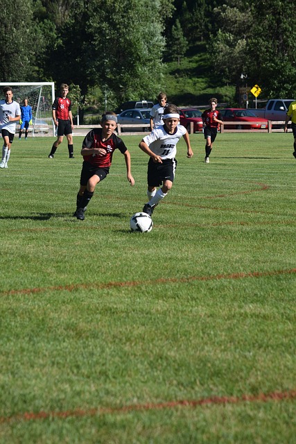 苏的重要基 苏的重要基