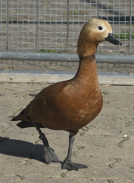 尤其是在关