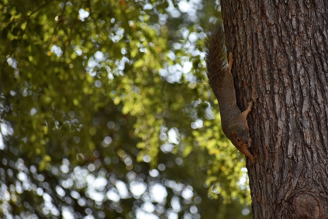 方式激发青 方式激发青
