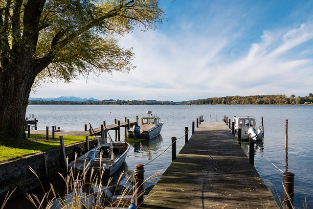 这不仅是对 这不仅是对