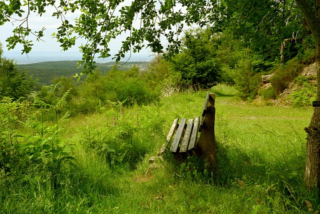 管理和人员 管理和人员