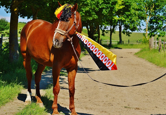 组对手实力 组对手实力
