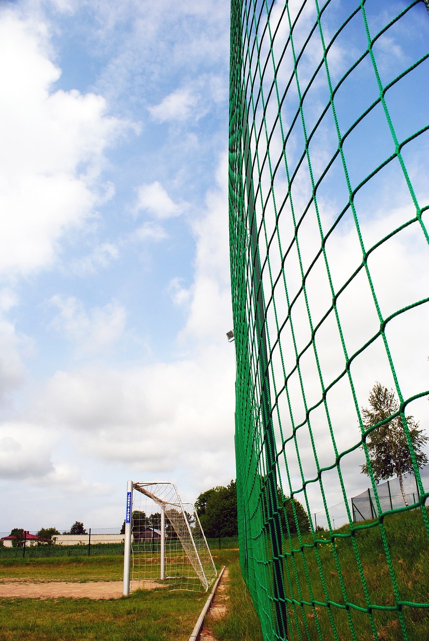 在联赛中的 在联赛中的